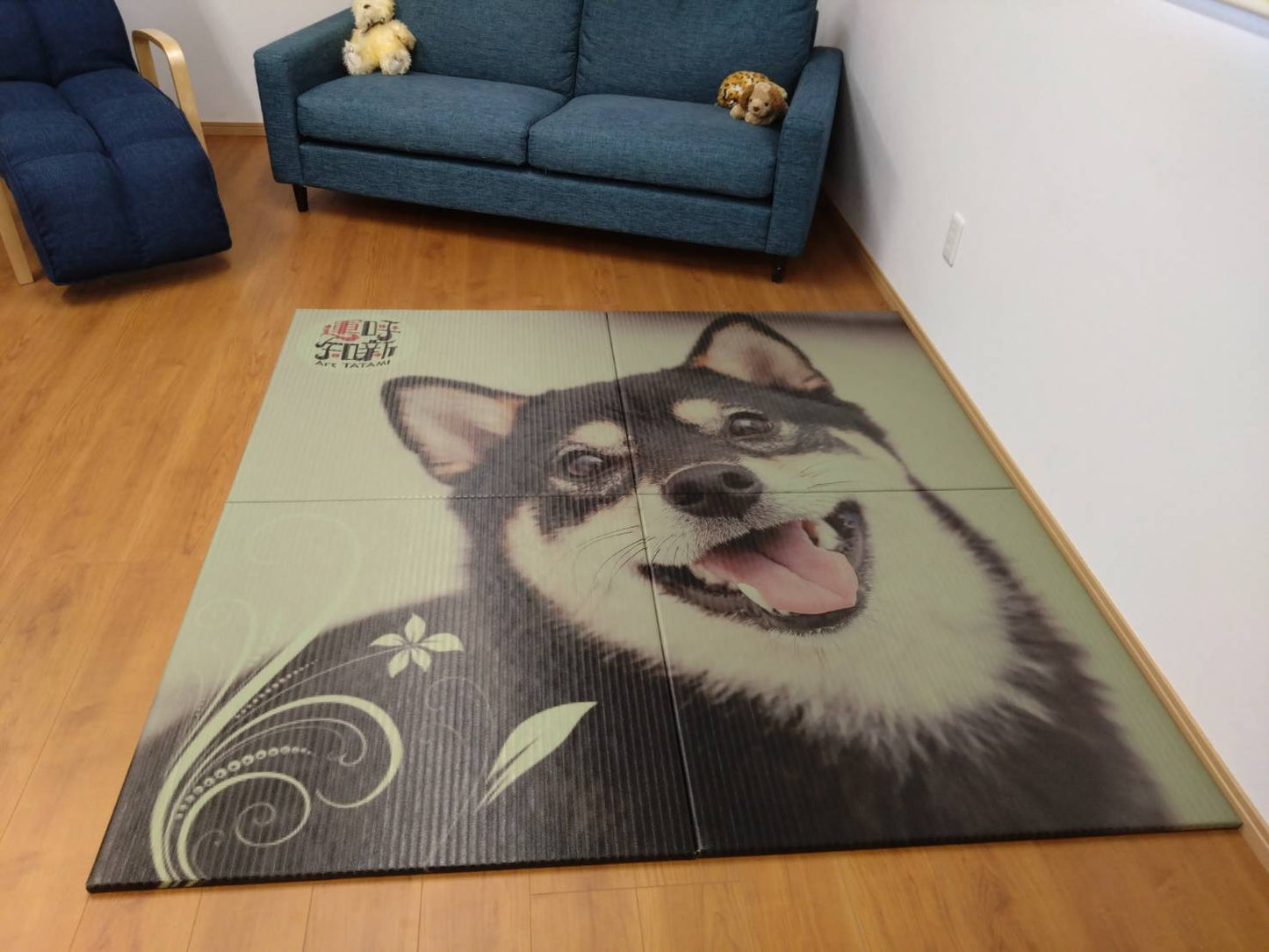 Black Shiba