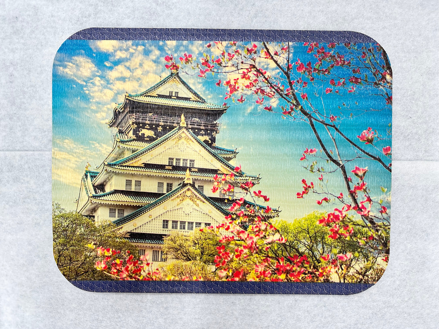 Nagoya Castle