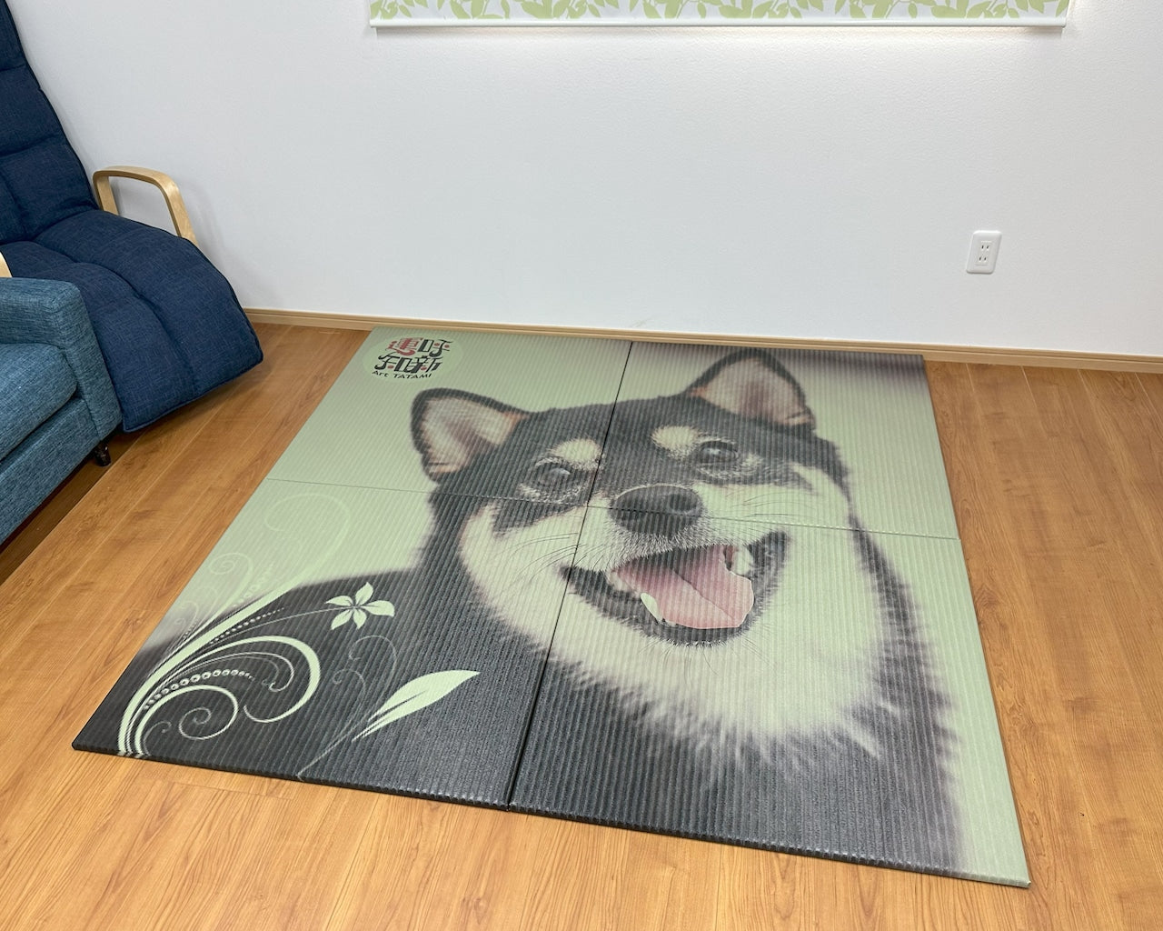 Black Shiba