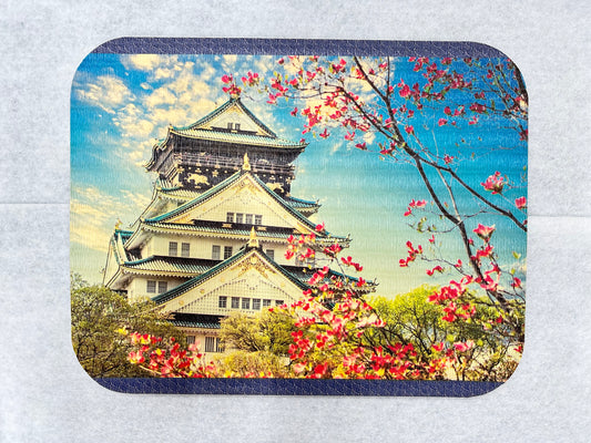 Nagoya Castle